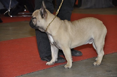 Des boules du mont d'Ayot - VALENCE 2011